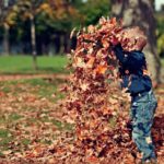 repel fall insects